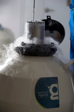 Slider image (5) Ingenes Monterrey